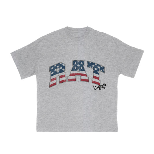Tshirt American Bones - Gris Chiné